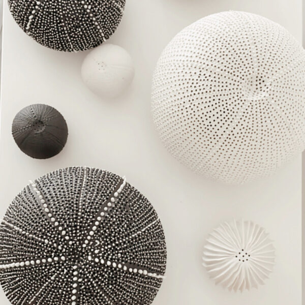 Photophore sculpture Oursin L en porcelaine  #CGLabSete – Image 5