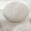 Photophore sculpture Oursin M en porcelaine  #CGLabSete – Image 4