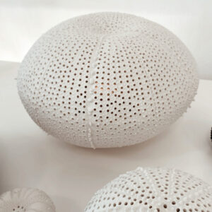Photophore sculpture Oursin L en porcelaine  #CGLabSete