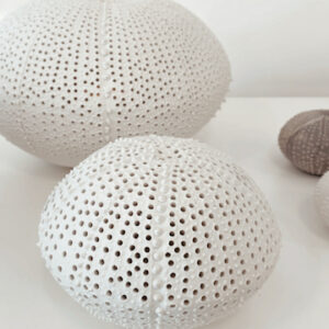 Photophore sculpture Oursin M en porcelaine  #CGLabSete